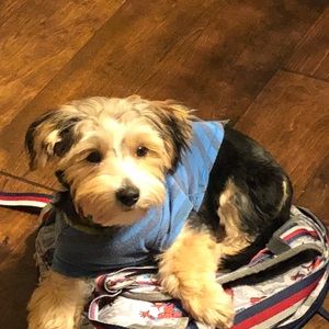 Meet your Posher, Stacey